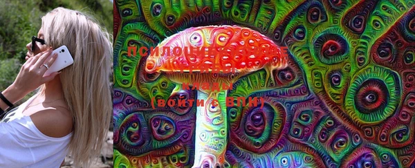 эйфоретик Белокуриха