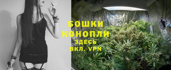 эйфоретик Белокуриха